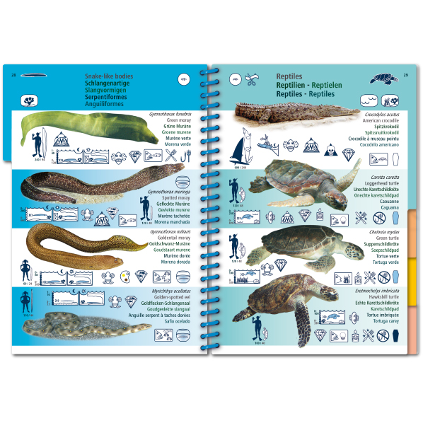 MARINE PICTOLIFE. WESTERN TROPICAL ATLANTIC 4