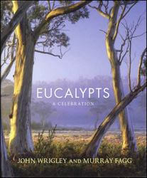 EUCALYPTS. A CELEBRATION 1