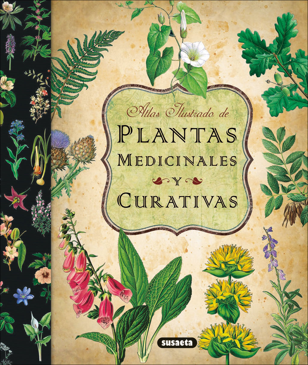 ATLAS ILUSTRADO DE PLANTAS MEDICINALES Y CURATIVAS