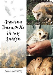 GROWING BARN OWLS IN MY GARDEN 1