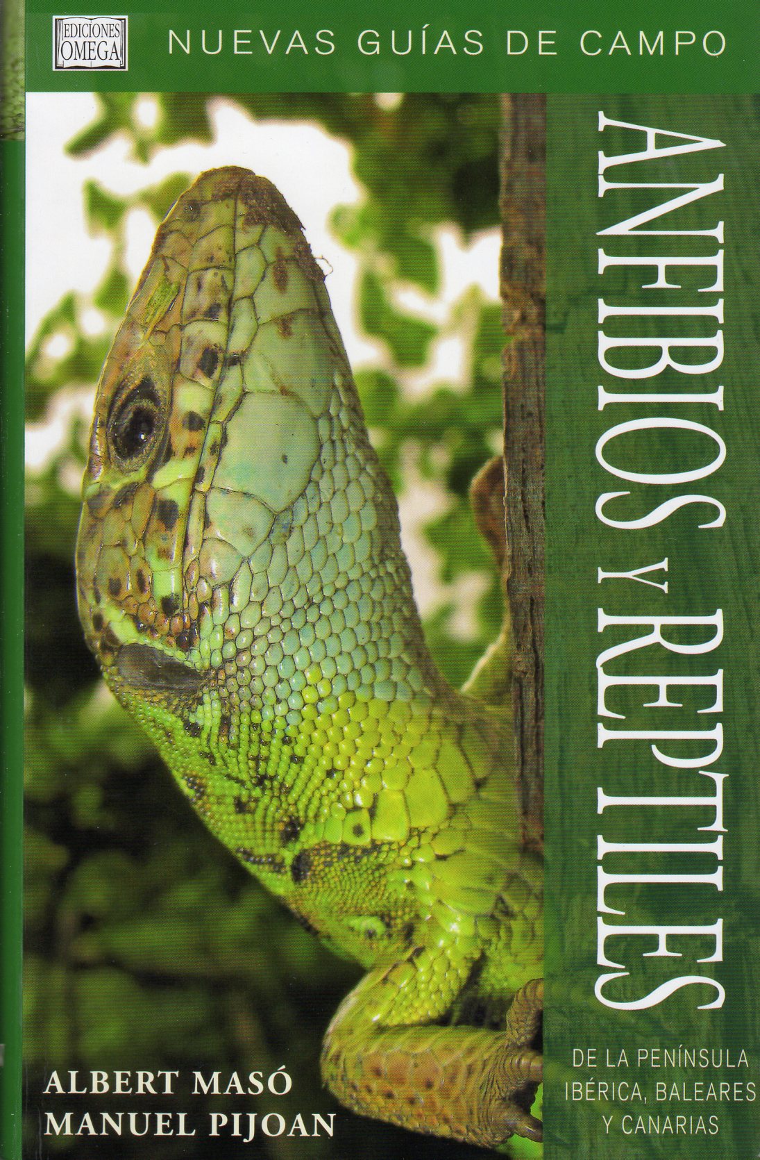 NUEVAS GUÍAS DE CAMPO ANFIBIOS Y REPTILES DE LA PENÍNSULA IBERICA, BALEARES Y CANARIAS