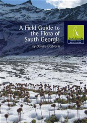 FIELD GUIDE TO THE FLORA OF SOUTH GEORGIA 1