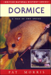 DORMICE: A TALE OF TWO SPECIES 2