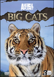 DVD ANIMAL PLANET. BIG CATS 1