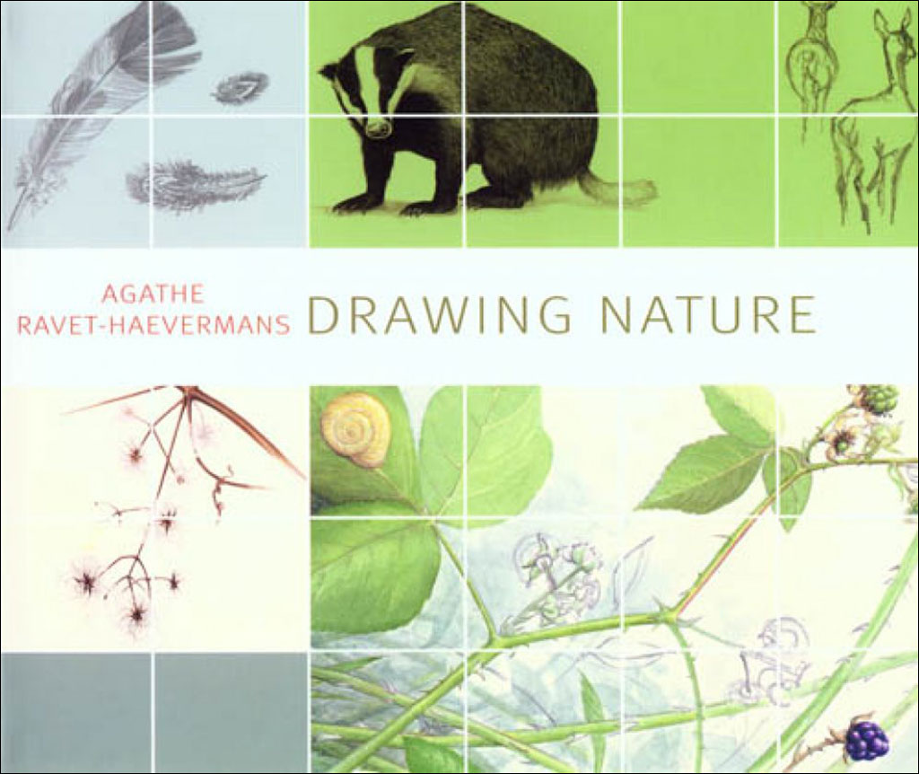 DRAWING NATURE 1