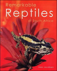 REMARKABLE REPTILES OF SOUTH AFRICA 1