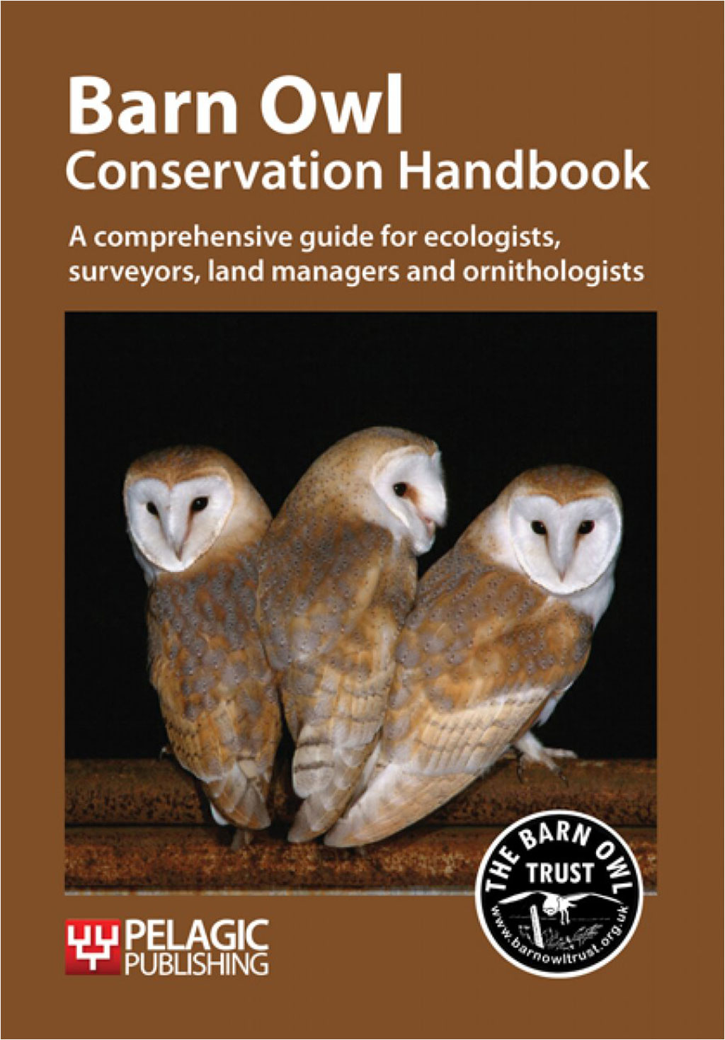 BARN OWL CONSERVATION HANDBOOK: A COMPREHENSIVE GUIDE FOR ECOLOGISTS, SURVEYORS, LAND MANAGERS AND ORNITHOLOGISTS