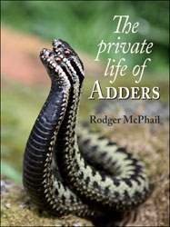 THE PRIVATE LIFE OF ADDERS 1