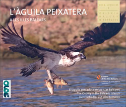 L'ÀGUILA PEIXATERA A LES ILLES BALEARS. EL ÁGUILA PESCADORA EN LAS ISLAS BALEARES. THE OSPREY IN THE BALEARIC ISLANDS 1