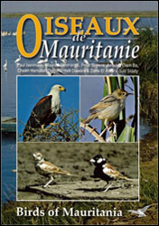 OISEAUX DE MAURITANIE/BIRDS OF MAURITANIA