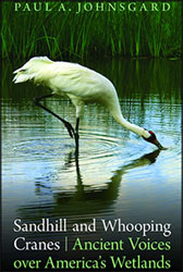 SANDHILL AND WOOPING CRANES. ANCIENT VOICES OVER AMERICA'S WETLANDS 1