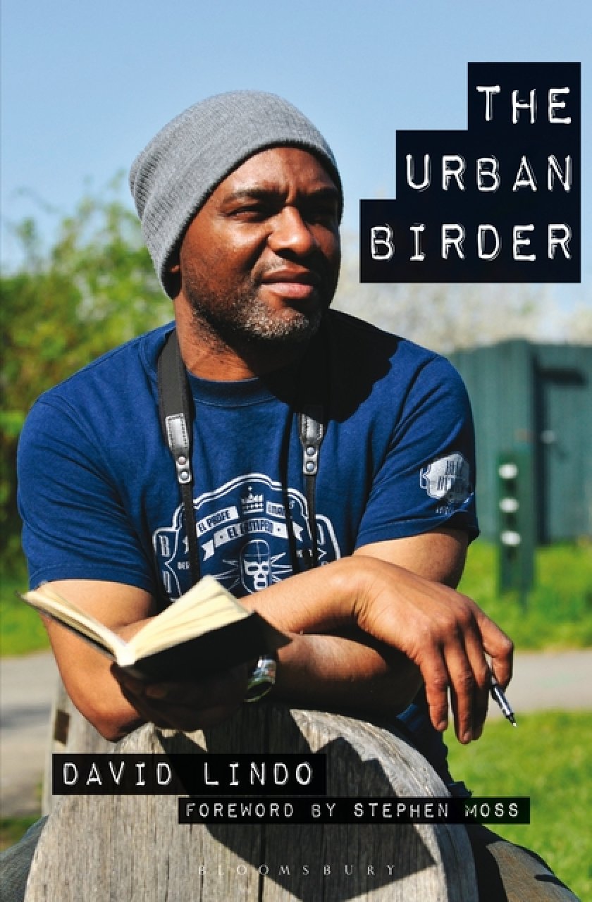 THE URBAN BIRDER 1