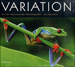 VARIATION 1