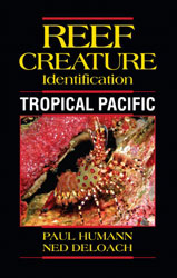 REEF CREATURE IDENTIFICATION. TROPICAL PACIFIC 1