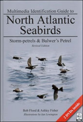 MULTIMEDIA IDENTIFICATION GUIDE TO NORTH ATLANTIC SEABIRDS: STORM-PETRELS & BULWER'S PETREL 2