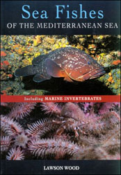 SEA FISHES OF THE MEDITERRANEAN SEA. INCLUDING MARINE INVERTEBRATES 1