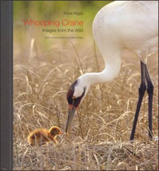 WHOOPING CRANE. IMAGES FROM THE WILD 1