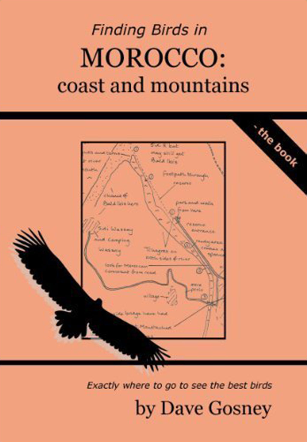 FINDING BIRDS IN MOROCCO. COAST AND MOUNTAINS