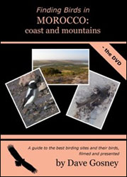 DVD FINDING BIRDS IN MOROCCO. COAST AND MOUNTAINS. 1