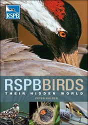 RSPB BIRDS. THEIR HIDDEN WORLD 1