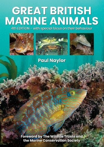 GREAT BRITISH MARINE ANIMALS 1