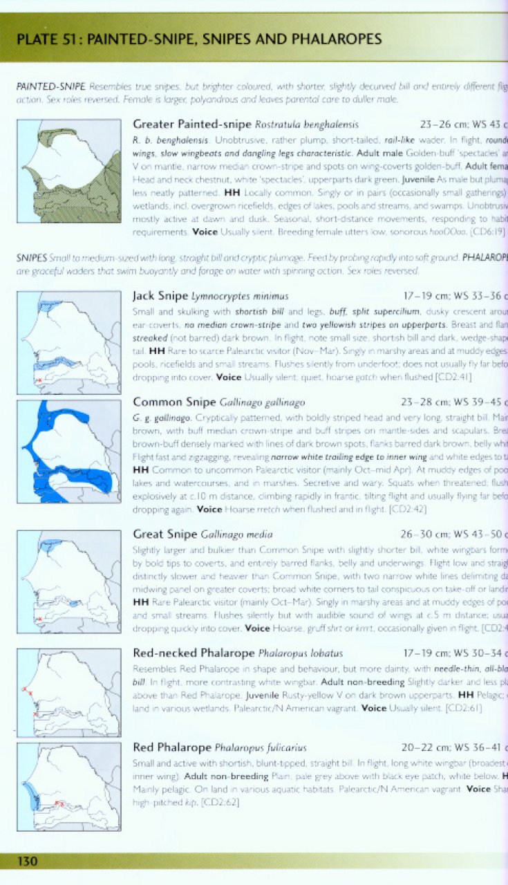 HELM FIELD GUIDES. BIRDS OF SENEGAL AND THE GAMBIA 2
