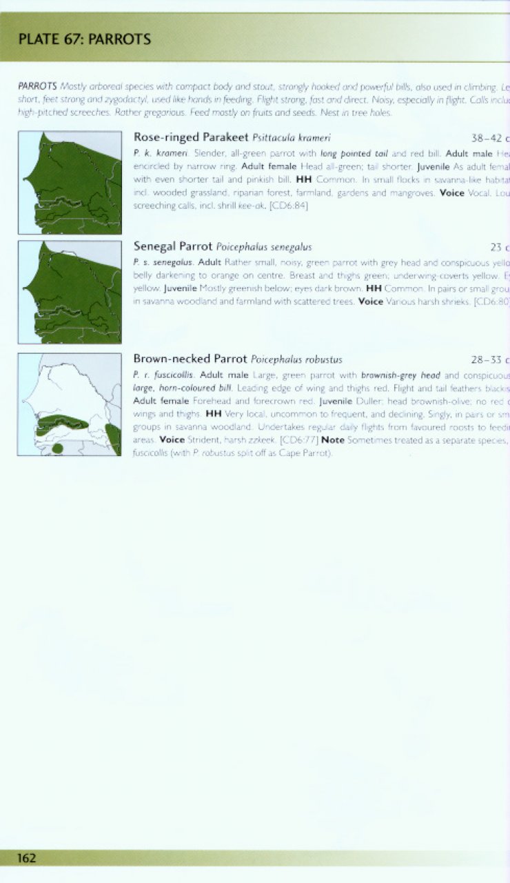 HELM FIELD GUIDES. BIRDS OF SENEGAL AND THE GAMBIA 4