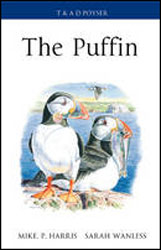 THE PUFFIN 2