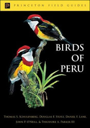 PRINCETON FIELD GUIDES. BIRDS OF PERU. 1