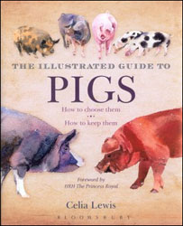 THE ILLUSTRATED GUIDE TO PIGS 1