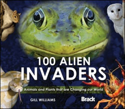 100 ALIEN INVADERS 1
