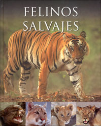 FELINOS SALVAJES 1