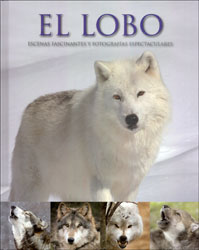 EL LOBO. ESCENAS FASCINANTES Y FOTOGRAFIAS ESPECTACULARES 1