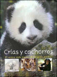 CRÍAS Y CACHORROS. EL ROSTRO MÁS TIERNO DEL MUNDO ANIMAL 1