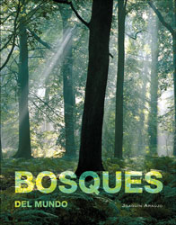 BOSQUES DEL MUNDO 1