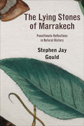 THE LYING STONES OF MARRAKECH. PENULTIMATE REFLECTIONS IN NATURAL HISTORY 1