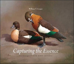 CAPTURING THE ESSENCE. TECHNIQUES FOR BIRD ARTISTS