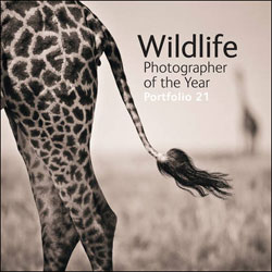 WILDLIFE PHOTOGRAPHER OF THE YEAR. PORTFOLIO 21 1