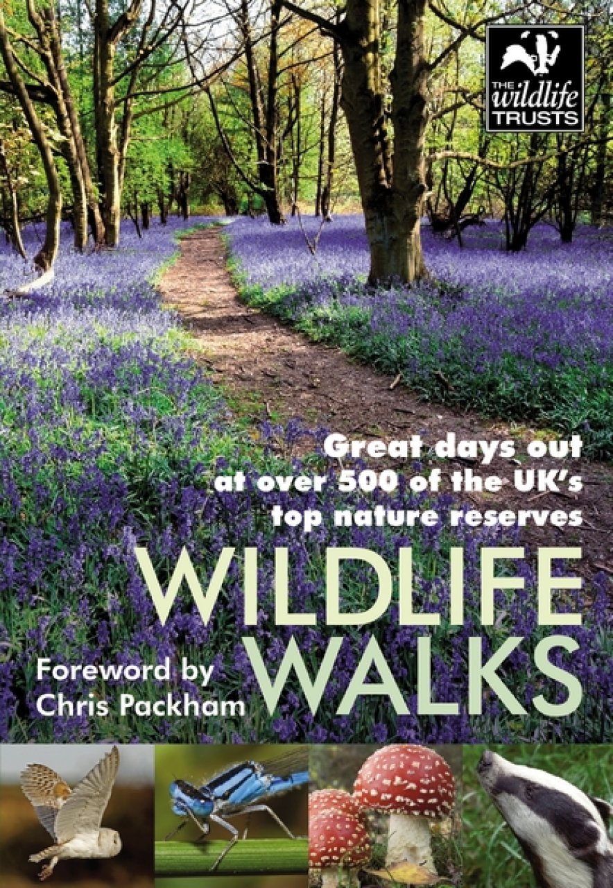 WILDLIFE WALKS 1