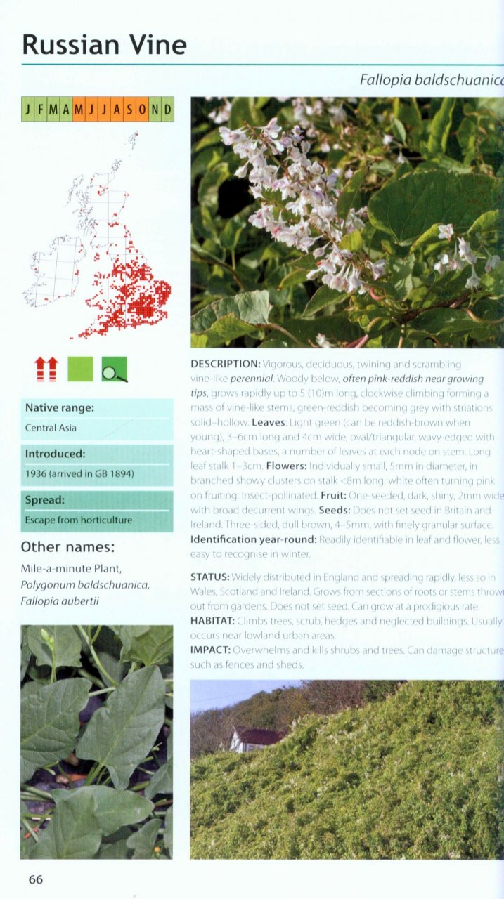 FIELD GUIDE TO THE INVASIVE PLANTS AND ANIMALS IN BRITAIN 2