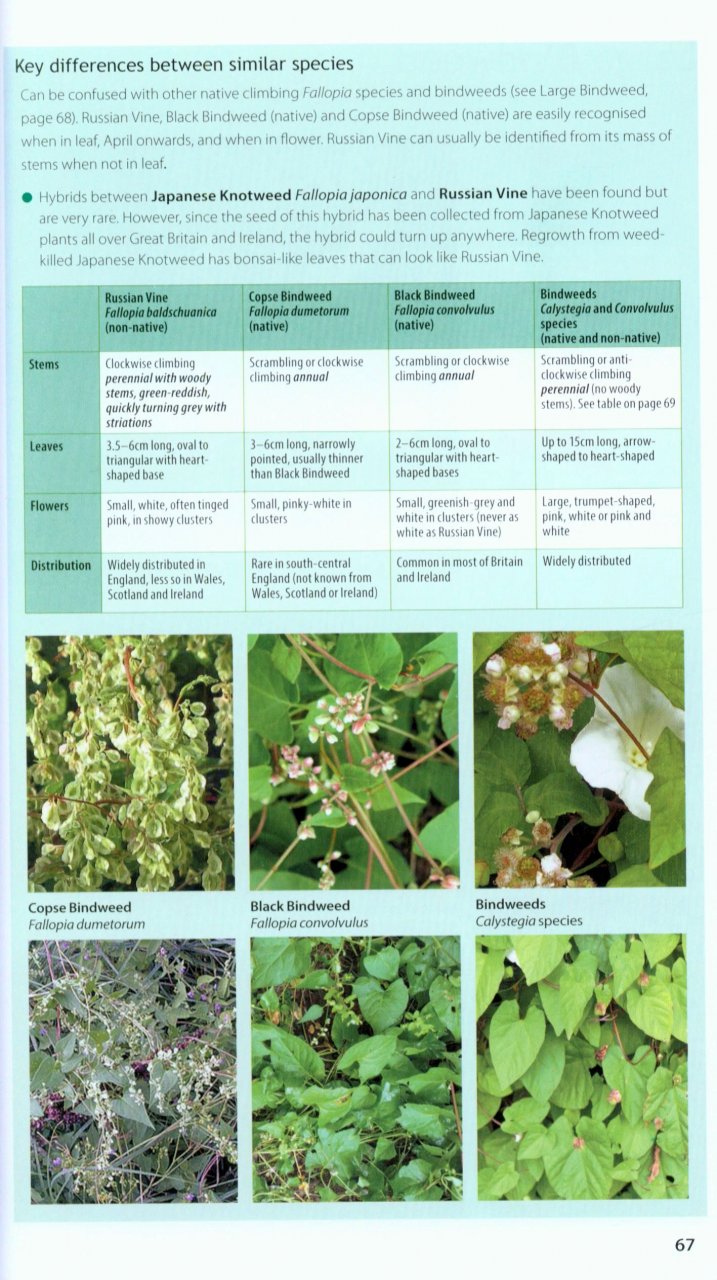 FIELD GUIDE TO THE INVASIVE PLANTS AND ANIMALS IN BRITAIN 3