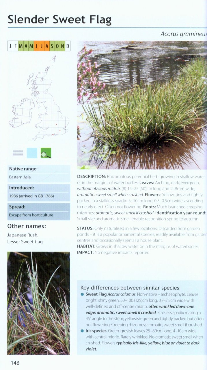 FIELD GUIDE TO THE INVASIVE PLANTS AND ANIMALS IN BRITAIN 4