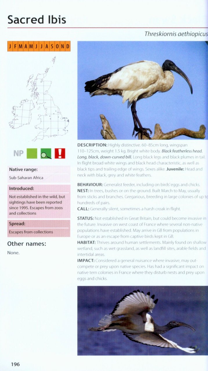 FIELD GUIDE TO THE INVASIVE PLANTS AND ANIMALS IN BRITAIN 5