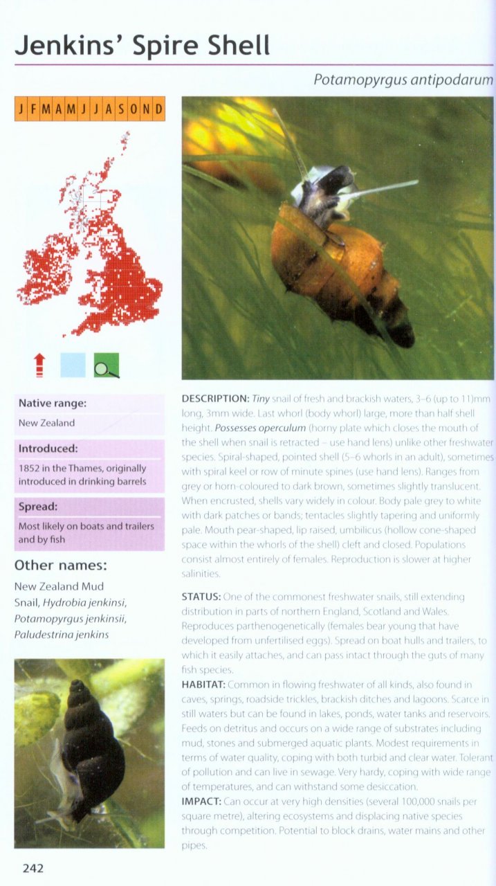 FIELD GUIDE TO THE INVASIVE PLANTS AND ANIMALS IN BRITAIN 6