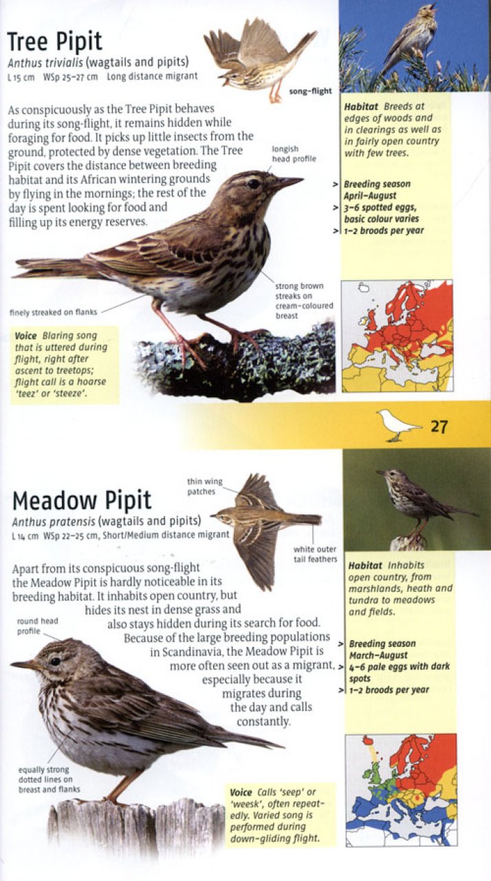 BIRDS OF BRITAIN AND EUROPE 2