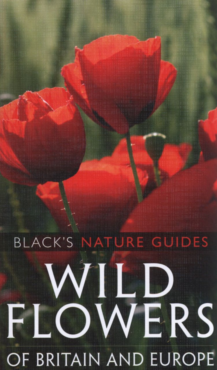 WILD FLOWERS OF BRITAIN AND EUROPE 1