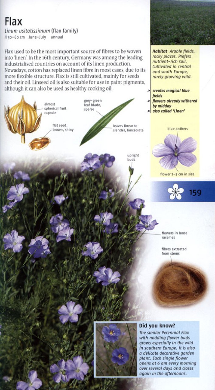 WILD FLOWERS OF BRITAIN AND EUROPE 5