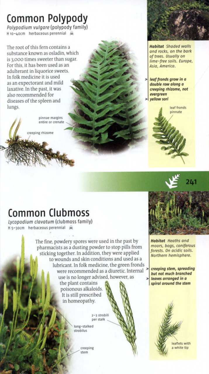 MEDICINAL PLANTS OF BRITAIN AND EUROPE 2