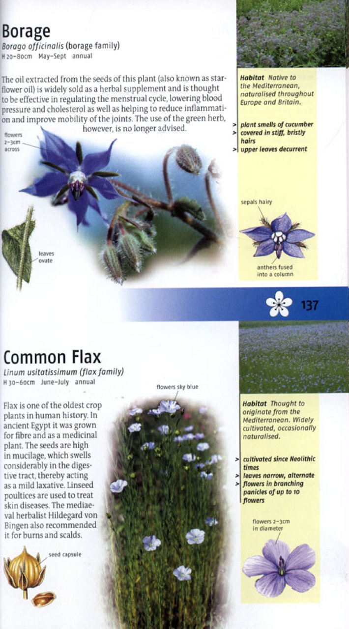 MEDICINAL PLANTS OF BRITAIN AND EUROPE 6