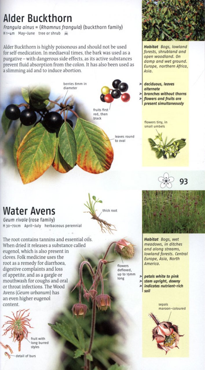 MEDICINAL PLANTS OF BRITAIN AND EUROPE 7
